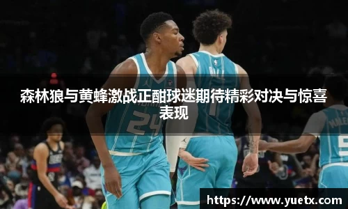 森林狼与黄蜂激战正酣球迷期待精彩对决与惊喜表现